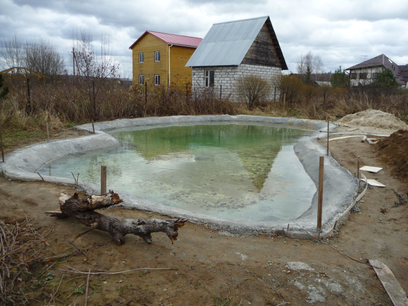 Кристальная вода прудика